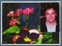 See profile of edward evan