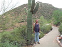 See profile of Mark