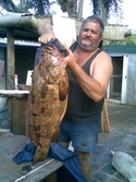 darren male from Australia