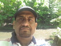 See profile of Adel