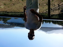 See profile of 