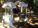 See profile of moises