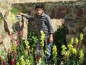 See profile of 