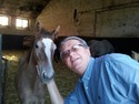 See profile of Djole