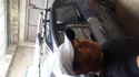 See profile of 