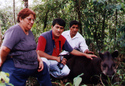 ROMULO male de Equateur