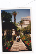 See profile of Aurelio