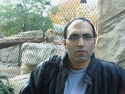 See profile of mido
