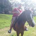See profile of 