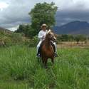 See profile of 