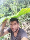  male Vom Ecuador