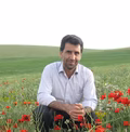 kamran46